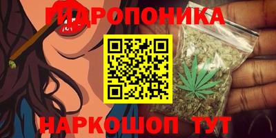 каннабис Гусев