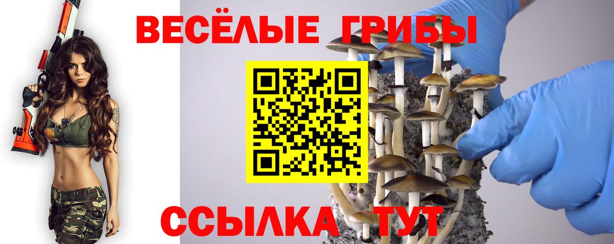 Псилоцибиновые грибы Magic Shrooms  Вход с VPN  Галлюциногенные грибы Psilocybe  Новочебоксарск 