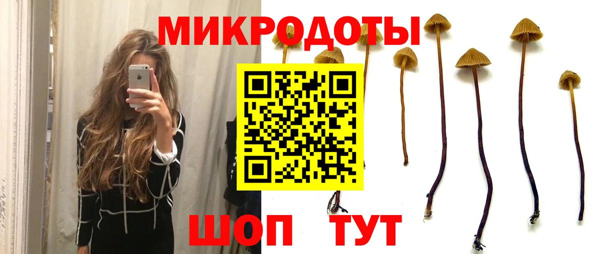 Псилоцибиновые грибы мицелий Новочебоксарск